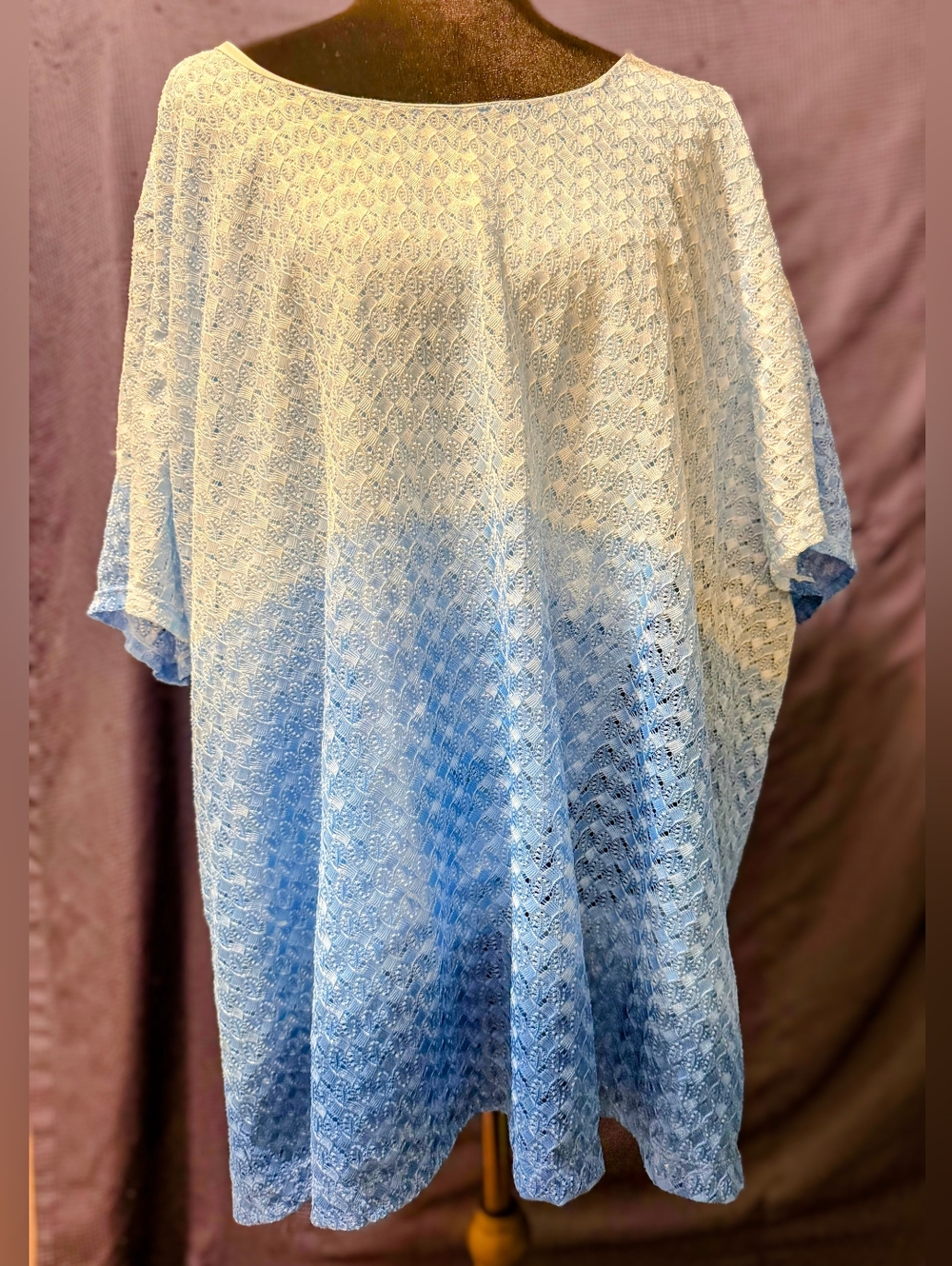 Salon Studio Light Blue Lace Top